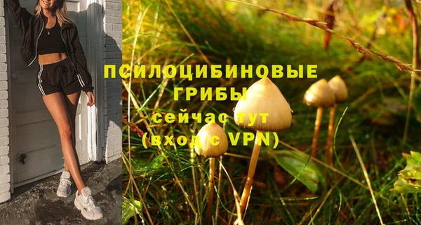 мескалин Балахна